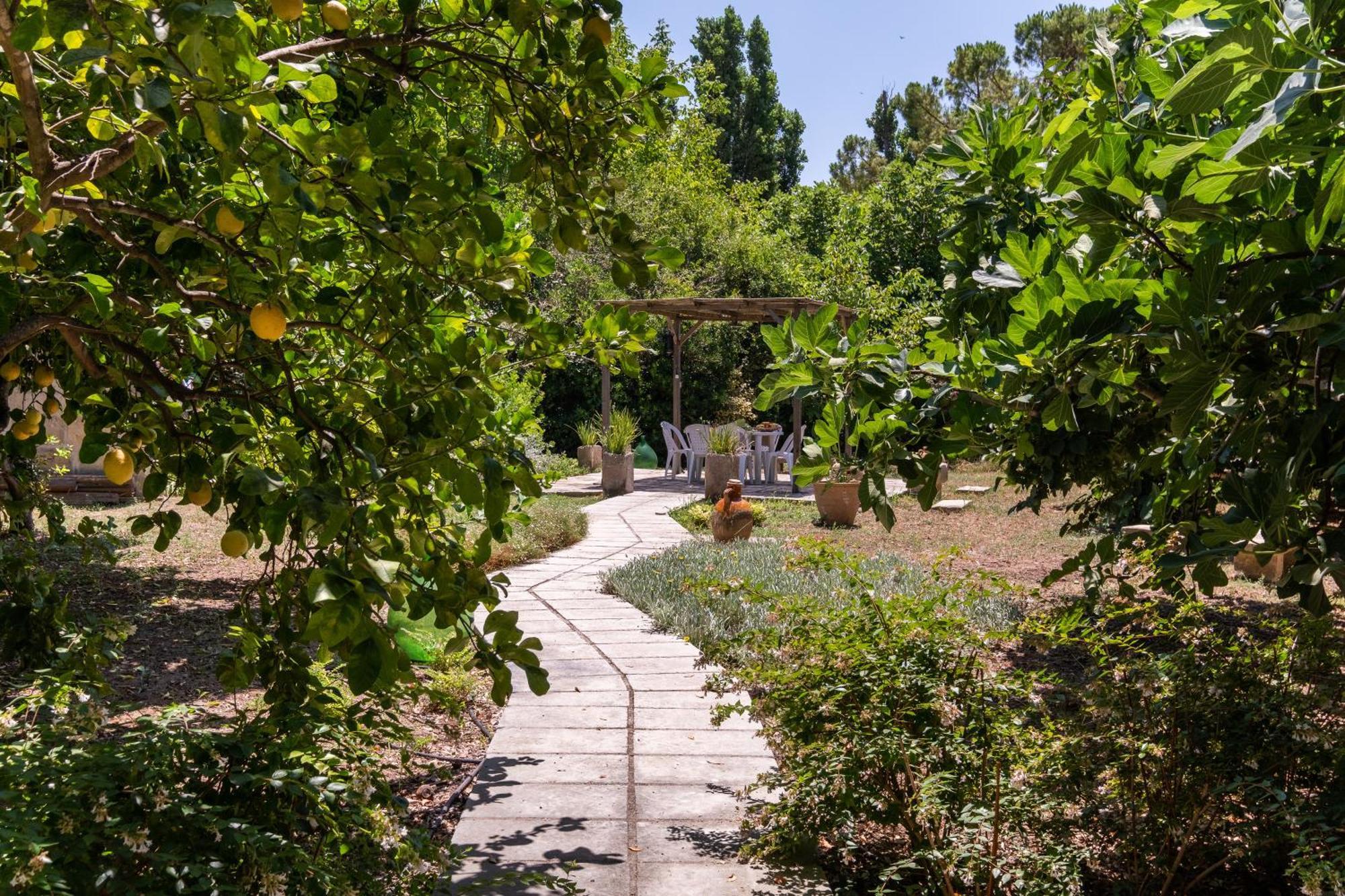 La Dimora Elia' Villa Muro Leccese Buitenkant foto